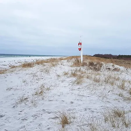 Апартаменты 4 Person In Nexo-by Traum *